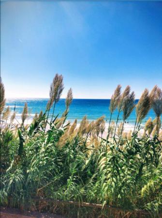 Conil Vistas Al Mar Del Roqueo, Fuente Del Gallo コニル・デ・ラ・フロンテラ エクステリア 写真
